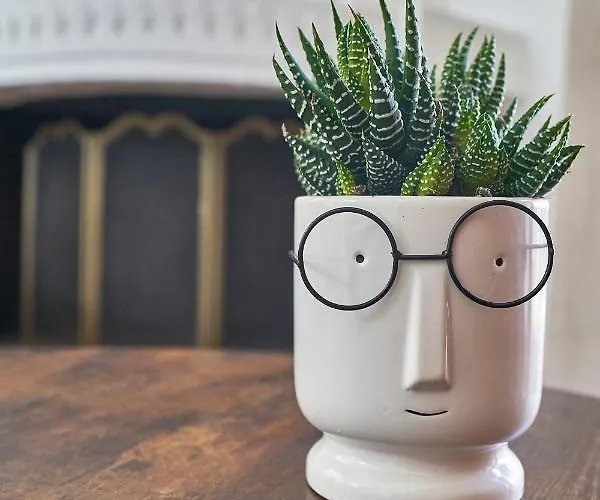 La Gitana Отель типа 